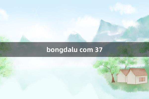 bongdalu com 37