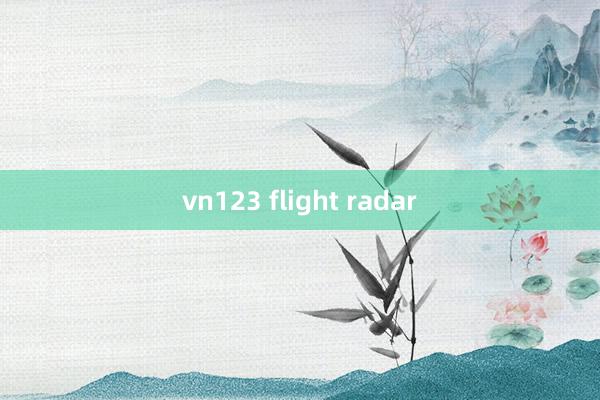 vn123 flight radar