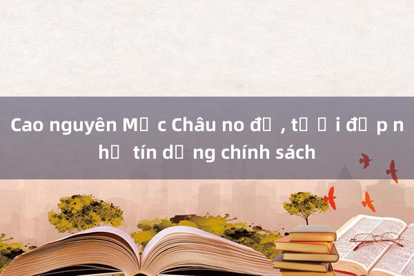 Cao nguyên Mộc Châu no đủ, tươi đẹp nhờ tín dụng chính sách