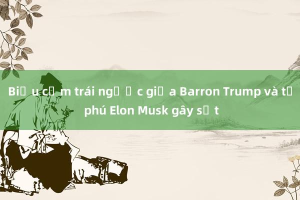 Biểu cảm trái ngược giữa Barron Trump và tỷ phú Elon Musk gây sốt